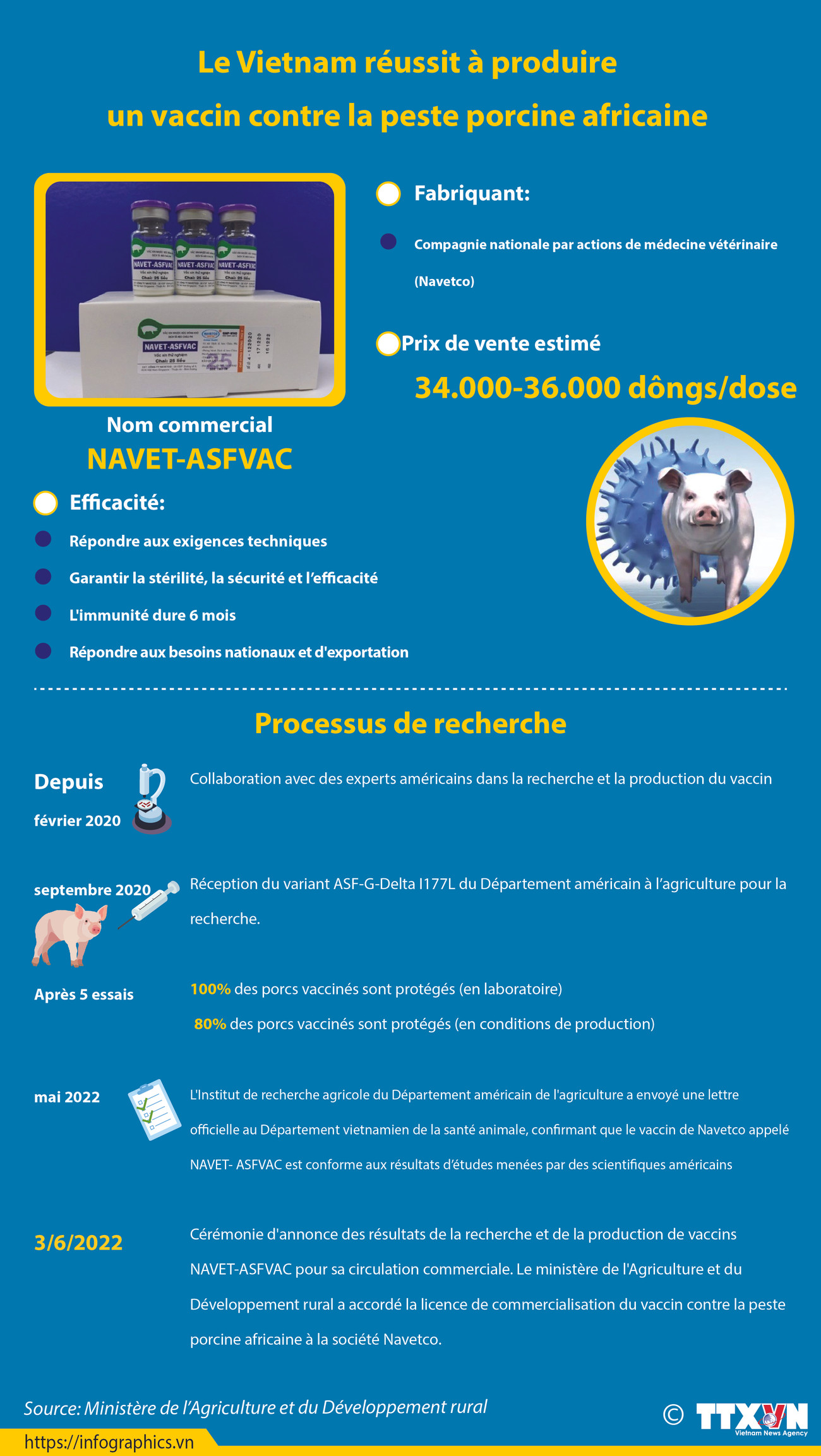 Le Vietnam réussit à produire un vaccin contre la peste porcine africaine ảnh 1