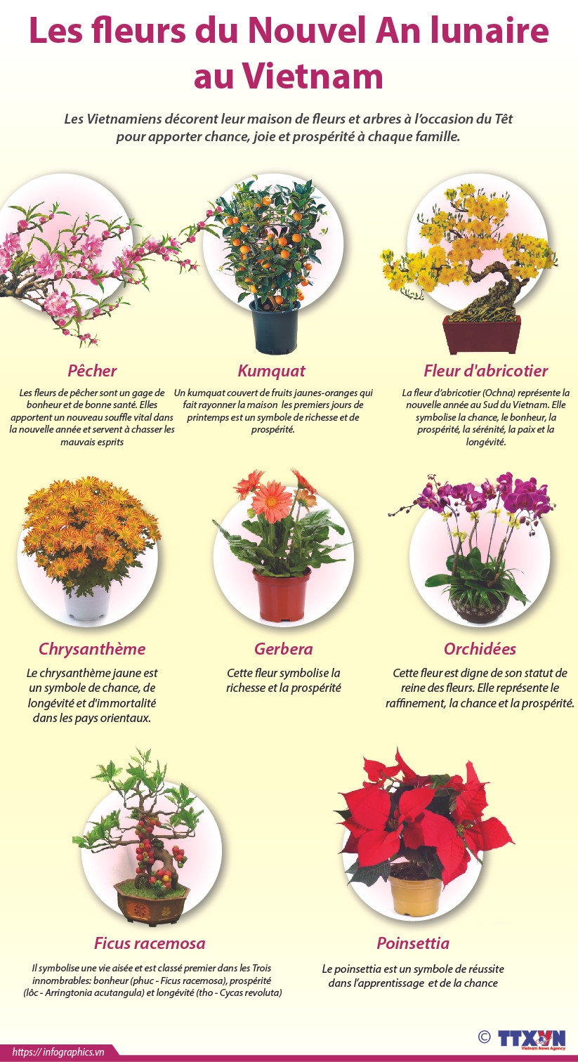 Les fleurs du Nouvel An lunaire au Vietnam ảnh 1 Les fleurs du Nouvel An lunaire au Vietnam ảnh 1