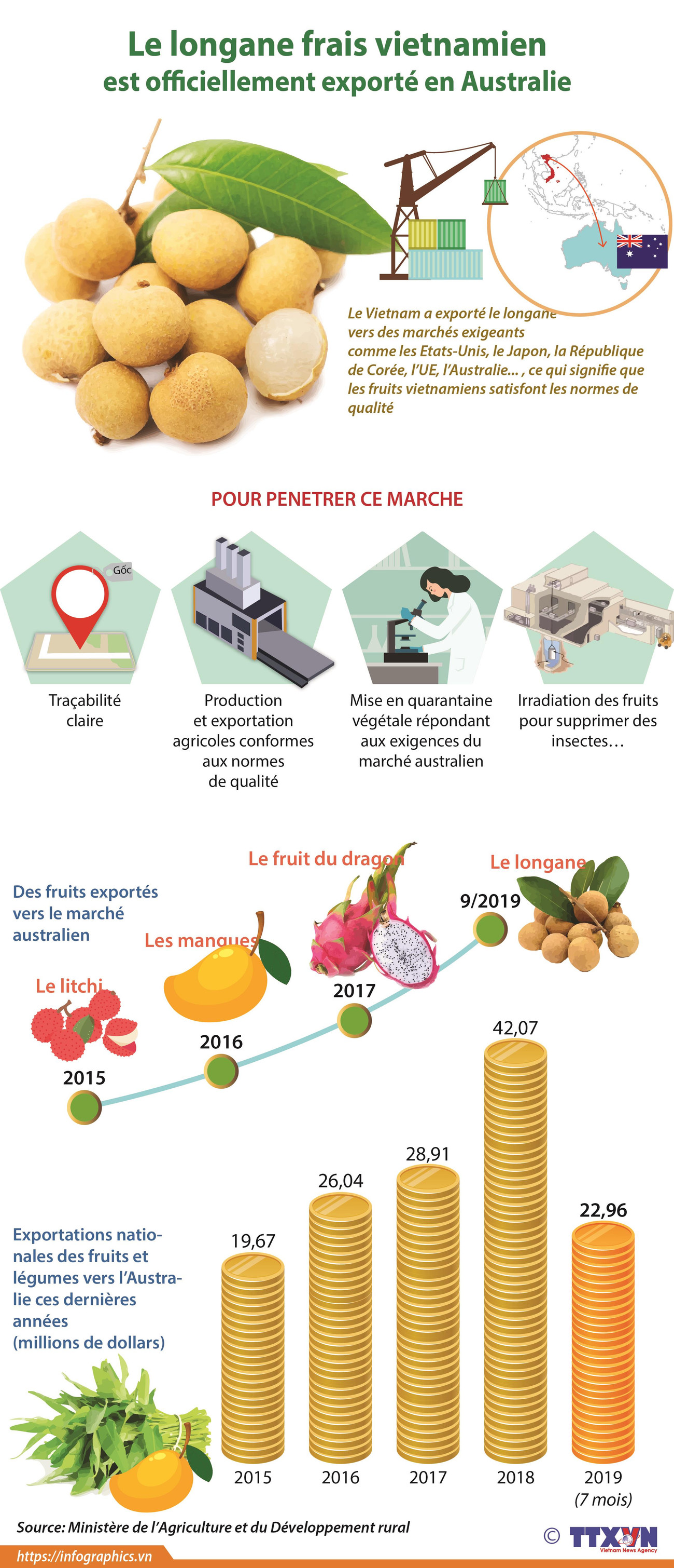 Le longane frais vietnamien est officiellement exporté en Australie ảnh 1