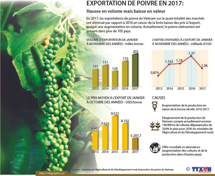Exportation de poivre en 2017 : hausse en volume mais baisse en valeur ảnh 1 Exportation de poivre en 2017 : hausse en volume mais baisse en valeur ảnh 1