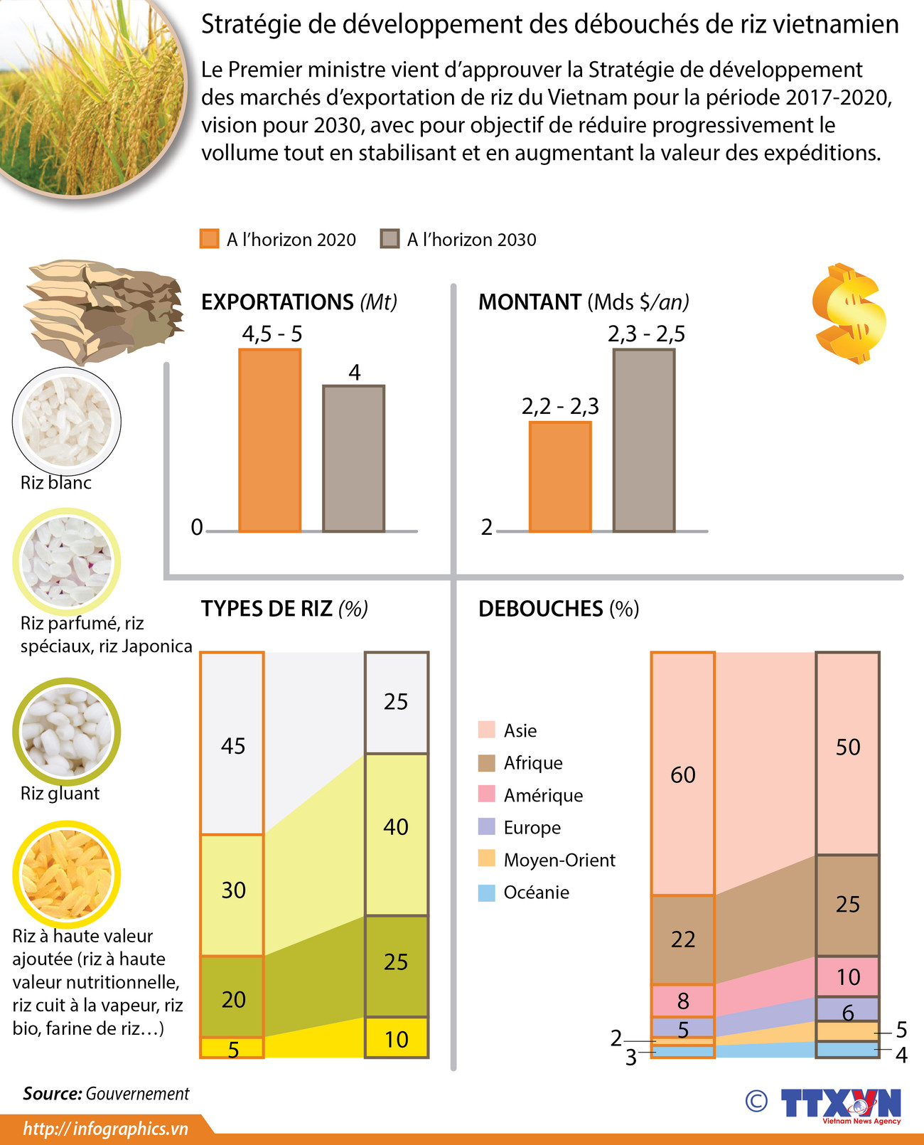 Stratégie de développement des marchés pour le riz vietnamien ảnh 1