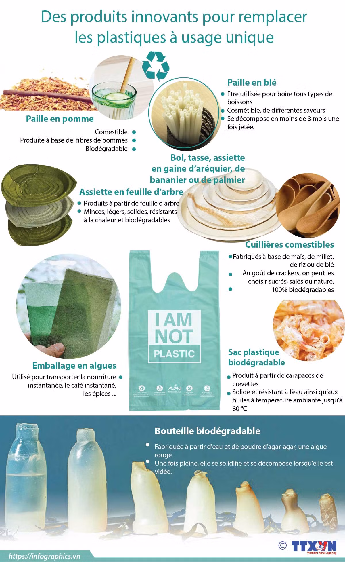 Des produits innovants pour remplacer les plastiques à usage unique ảnh 1