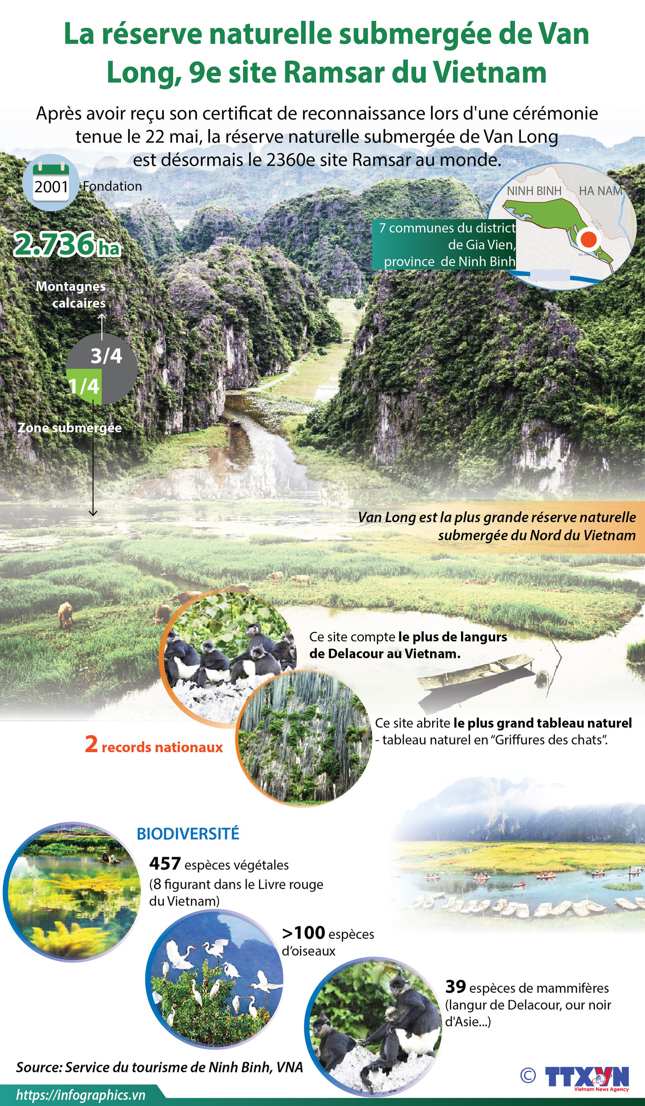 La réserve naturelle submergée de Van Long, 9e site Ramsar du Vietnam ảnh 1 La réserve naturelle submergée de Van Long, 9e site Ramsar du Vietnam ảnh 1