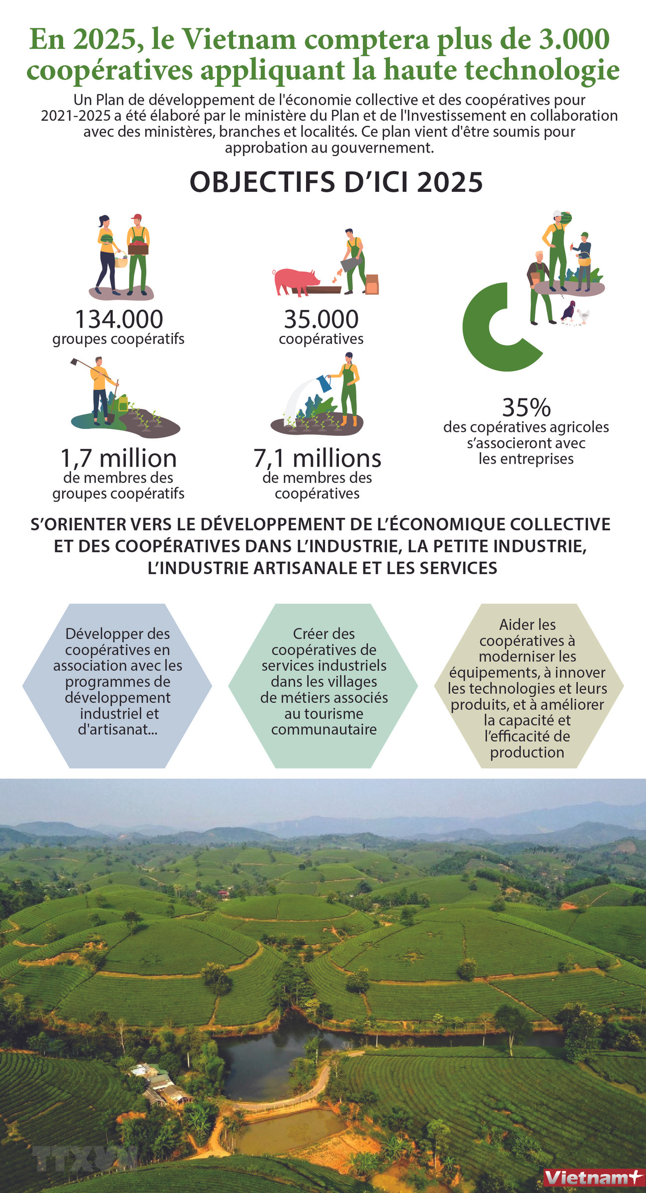 En 2025, le Vietnam comptera plus de 3.000 coopératives appliquant la haute technologie ảnh 1 En 2025, le Vietnam comptera plus de 3.000 coopératives appliquant la haute technologie ảnh 1