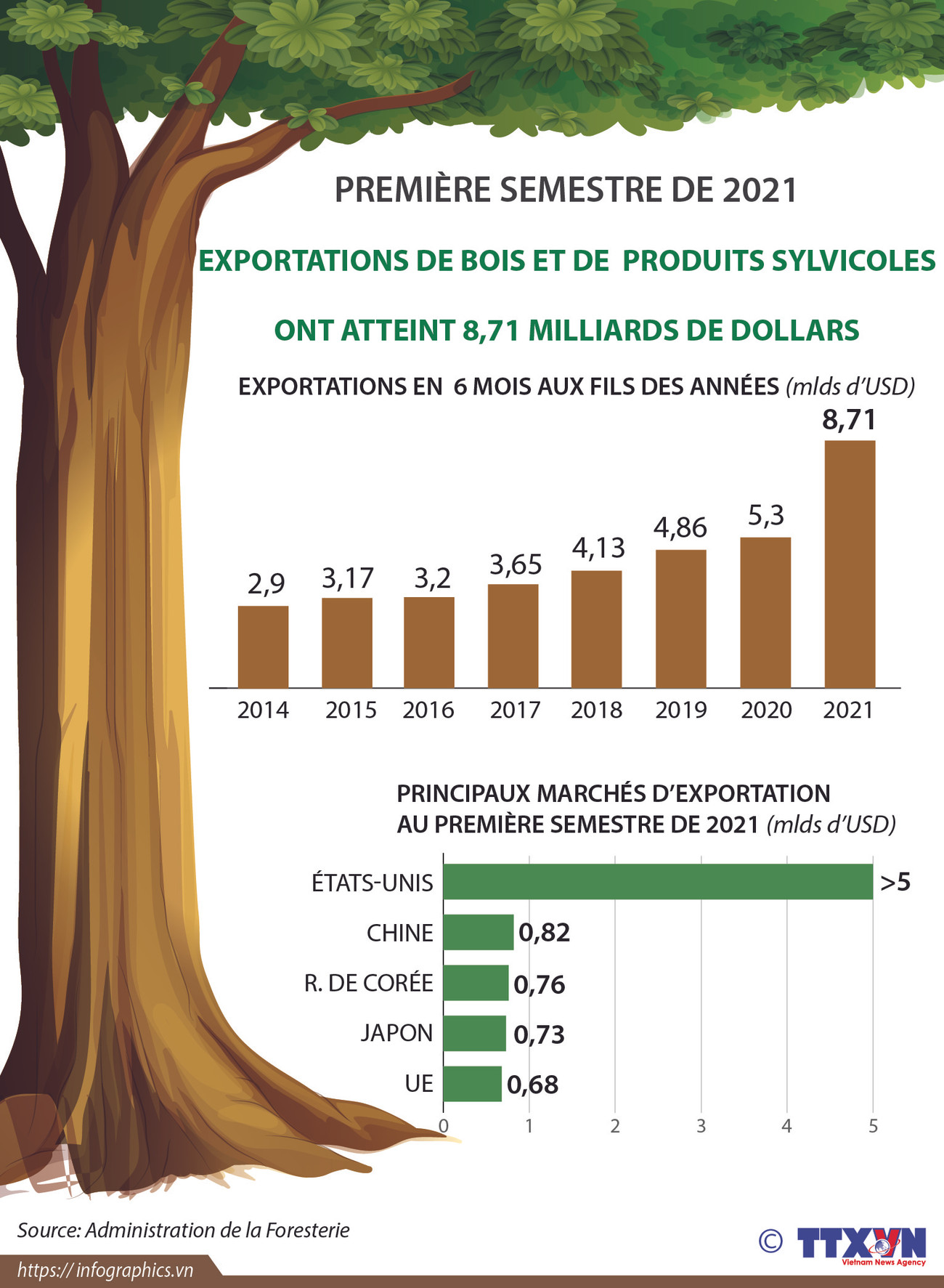 Exportations de bois et de produits sylvicoles: 8,71 milliards de dollars en six mois ảnh 1