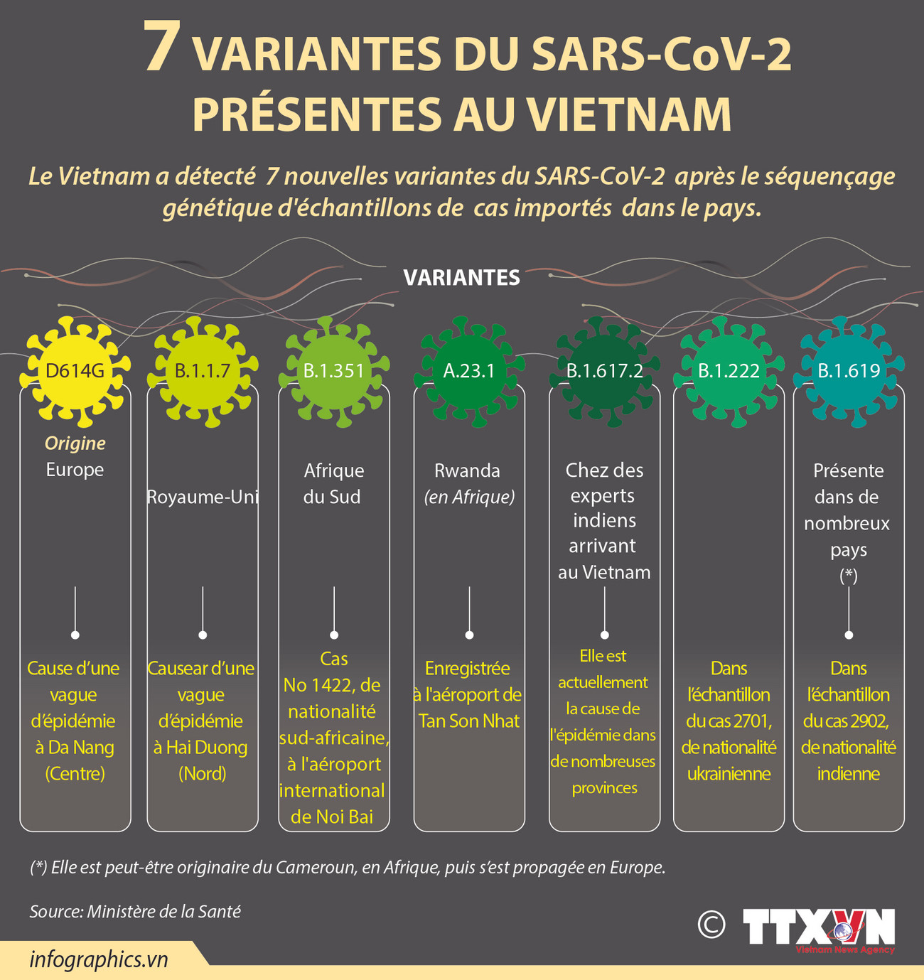 7 nouvelles variantes du SARS-CoV-2 présentes au Vietnam ảnh 1 7 nouvelles variantes du SARS-CoV-2 présentes au Vietnam ảnh 1