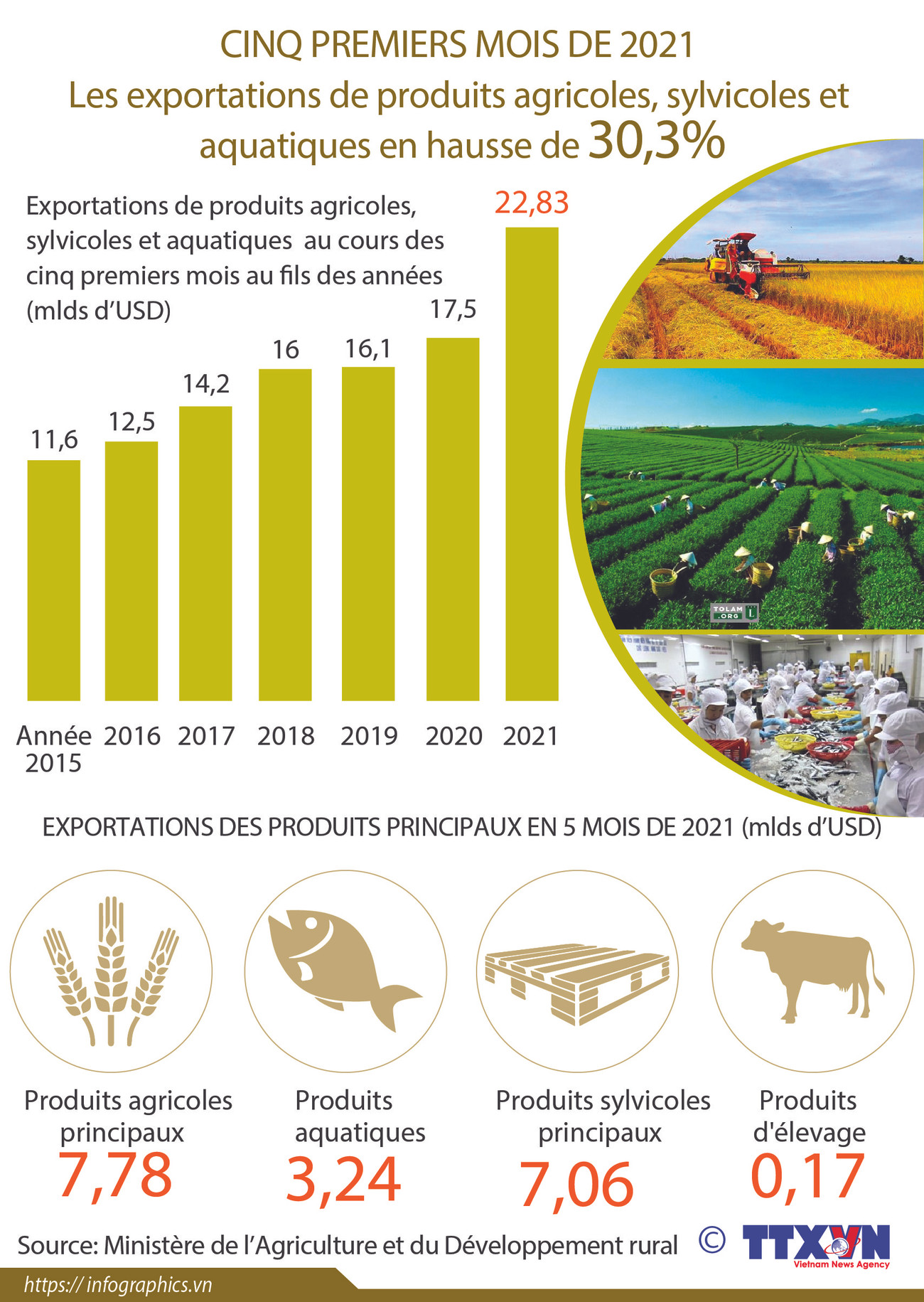 Les exportations de produits agricoles,sylvicoles et aquatiques en hausse de 30,3% en 5 mois ảnh 1 Les exportations de produits agricoles,sylvicoles et aquatiques en hausse de 30,3% en 5 mois ảnh 1