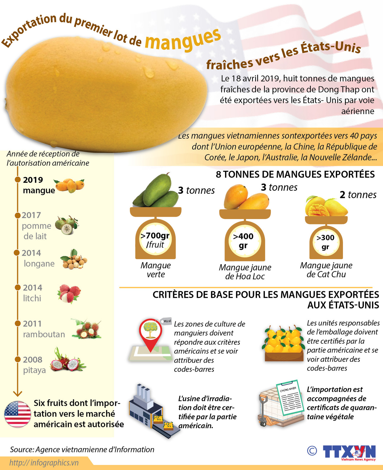 Exportation du premier lot de mangues fraîches vietnamiennes aux États-Unis ảnh 1 Exportation du premier lot de mangues fraîches vietnamiennes aux États-Unis ảnh 1