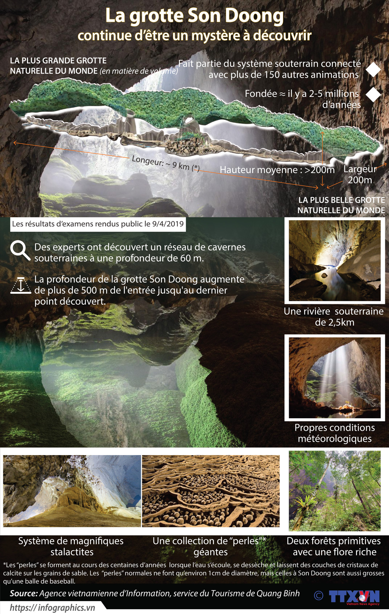 La grotte Son Doong continue d'être un mystère à découvrir ảnh 1