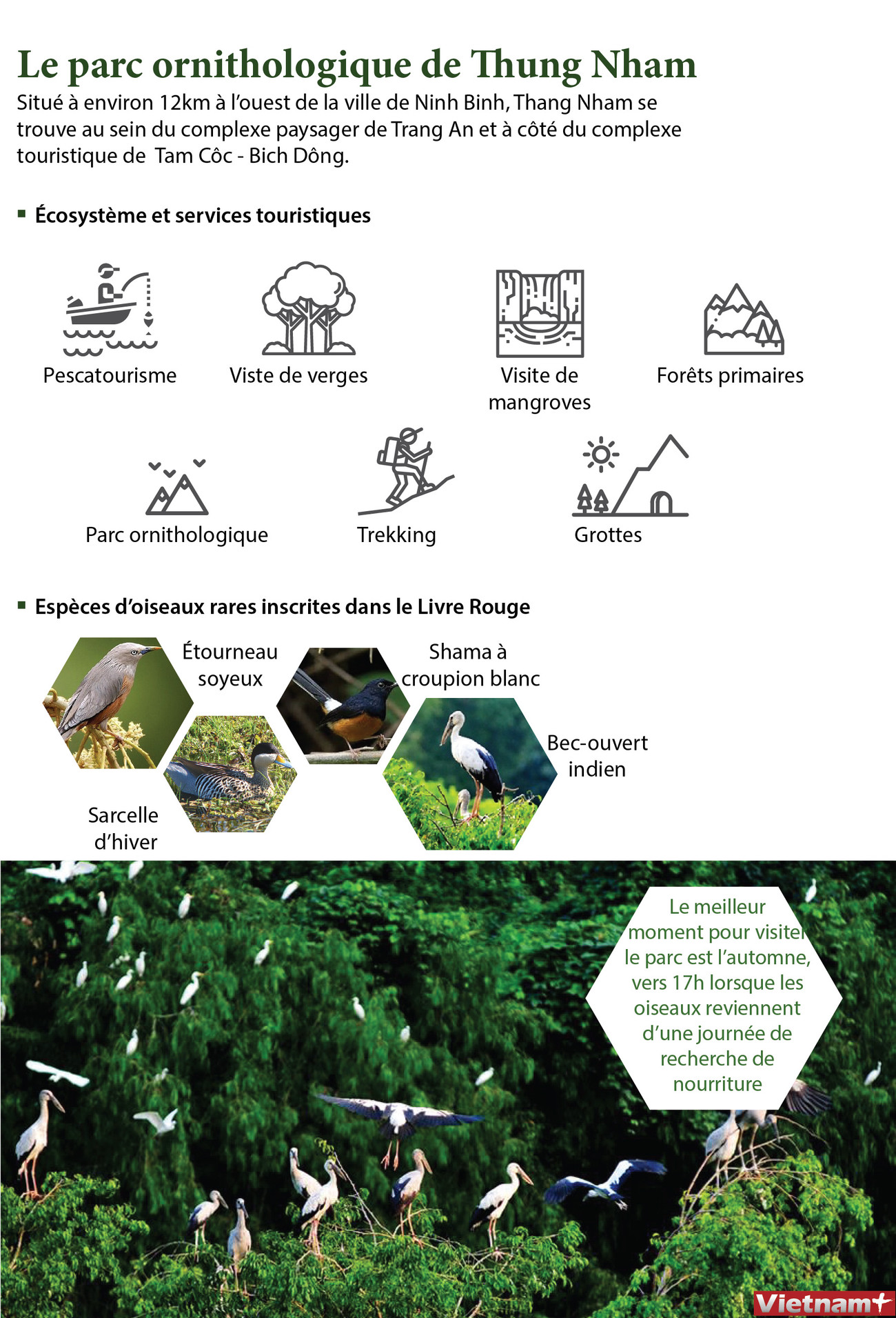 Le parc ornithologique de Thung Nham ảnh 1 Le parc ornithologique de Thung Nham ảnh 1