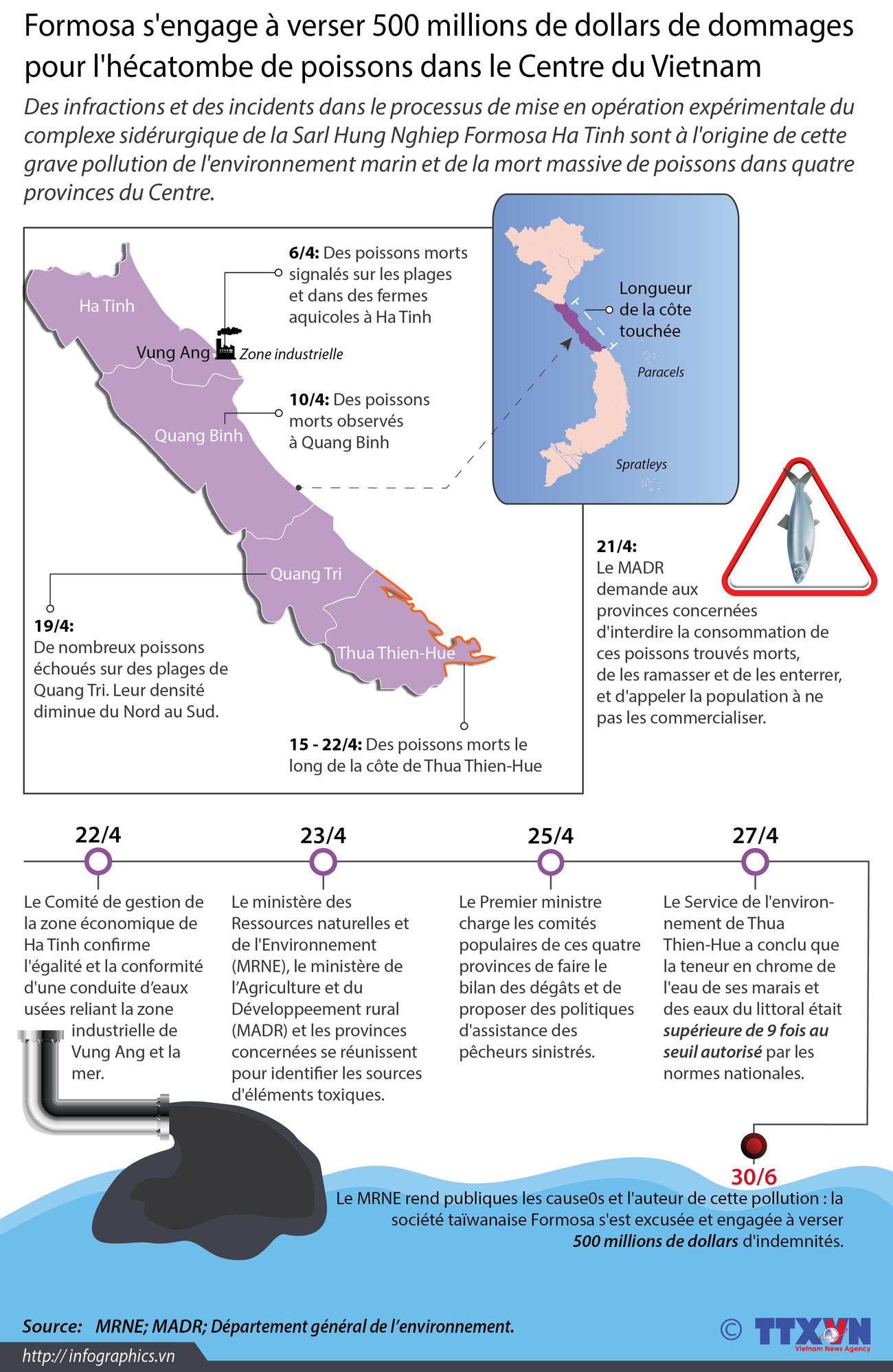 [Infographie] Développements de l'affaire de l'hécatombe de poissons ảnh 1
