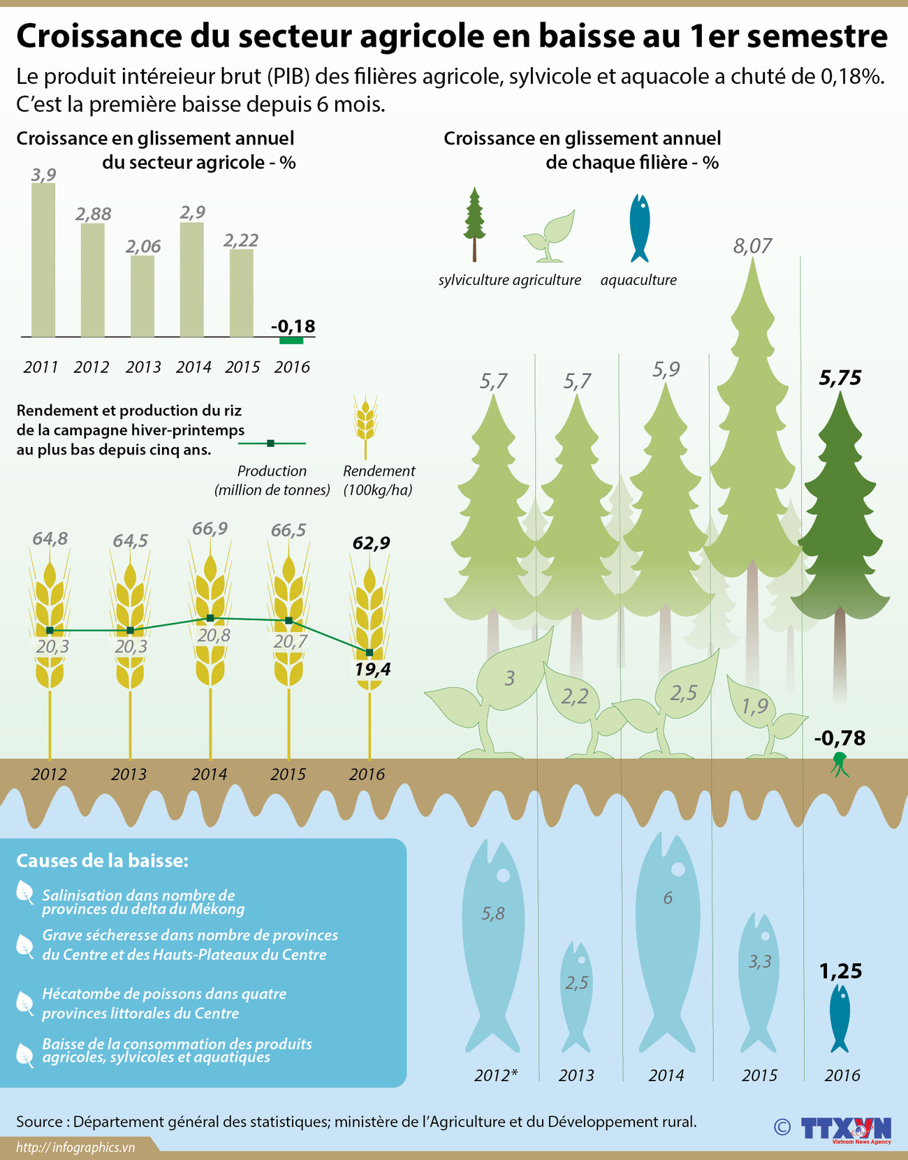 Croissance du secteur agricole en baisse au 1er semestre ảnh 1