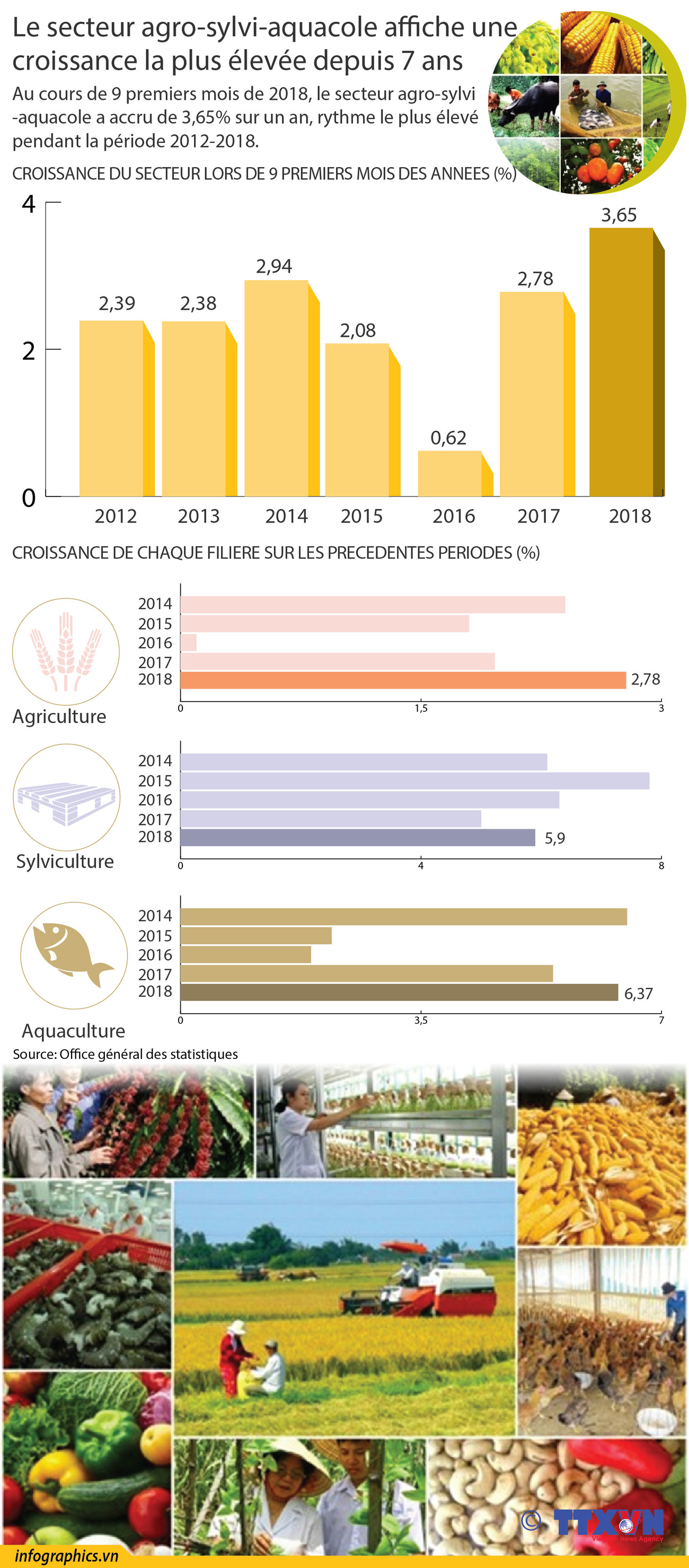 [Infographie] Le secteur agro-sylvi-aquacole affiche une croissance la plus élevée depuis 7 ans ảnh 1