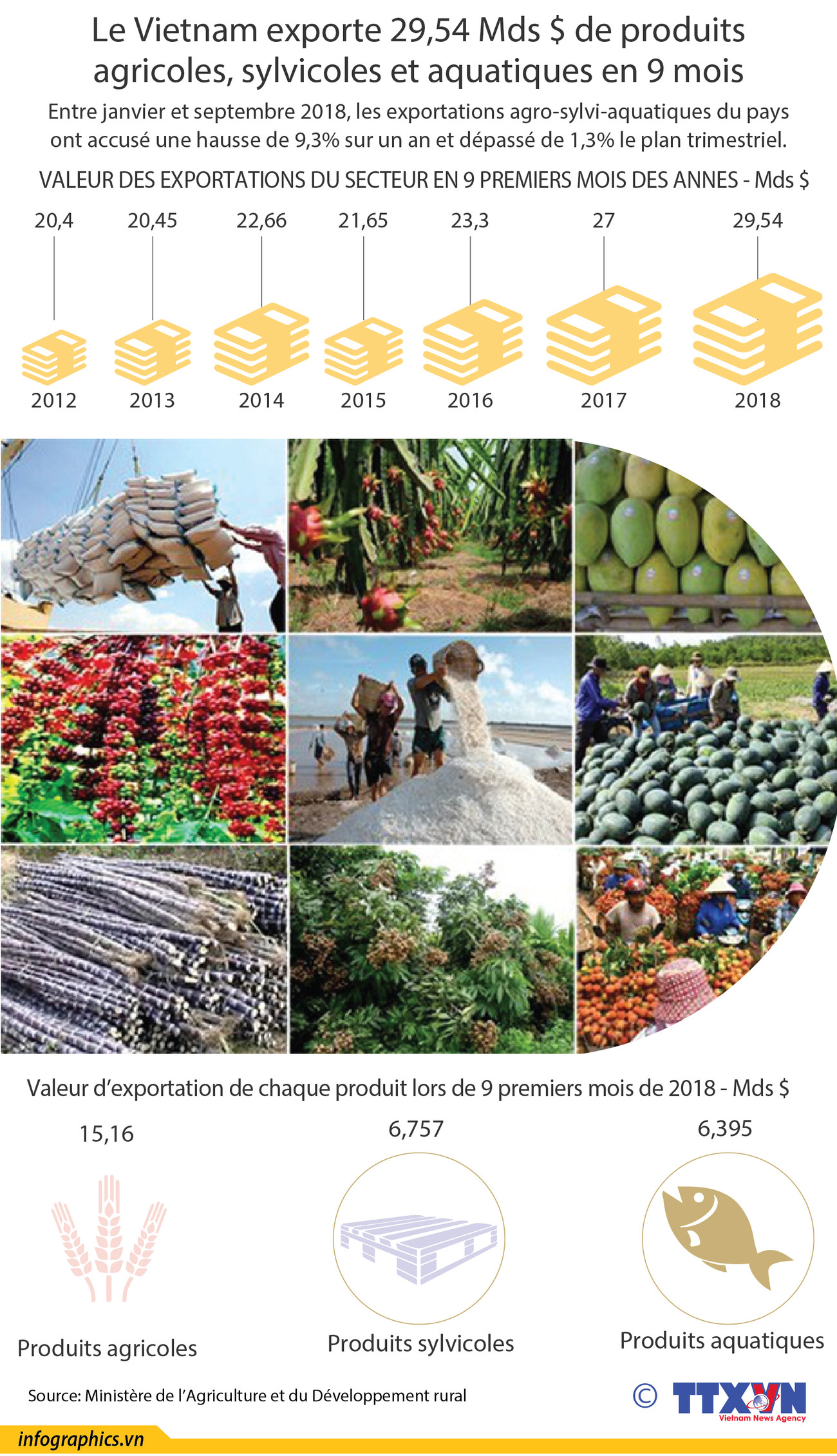 [Infographie] Le Vietnam exporte 29,54 Mds $ de produits agro-sylvi-aquatiques en 9 mois ảnh 1