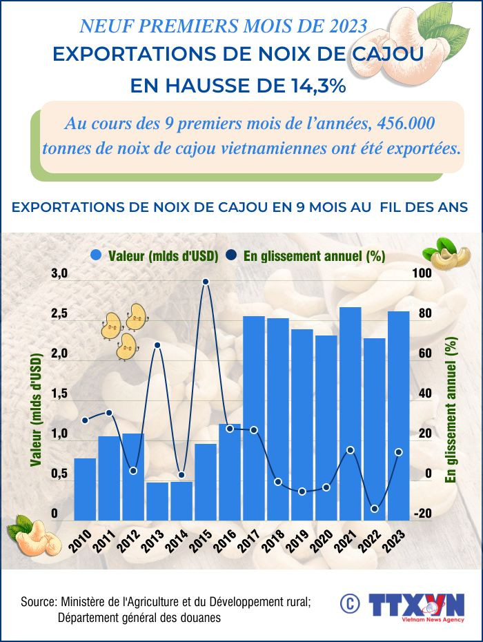 Les exportations de noix de cajou en hausse de 14,3% en neuf mois ảnh 1 Les exportations de noix de cajou en hausse de 14,3% en neuf mois ảnh 1