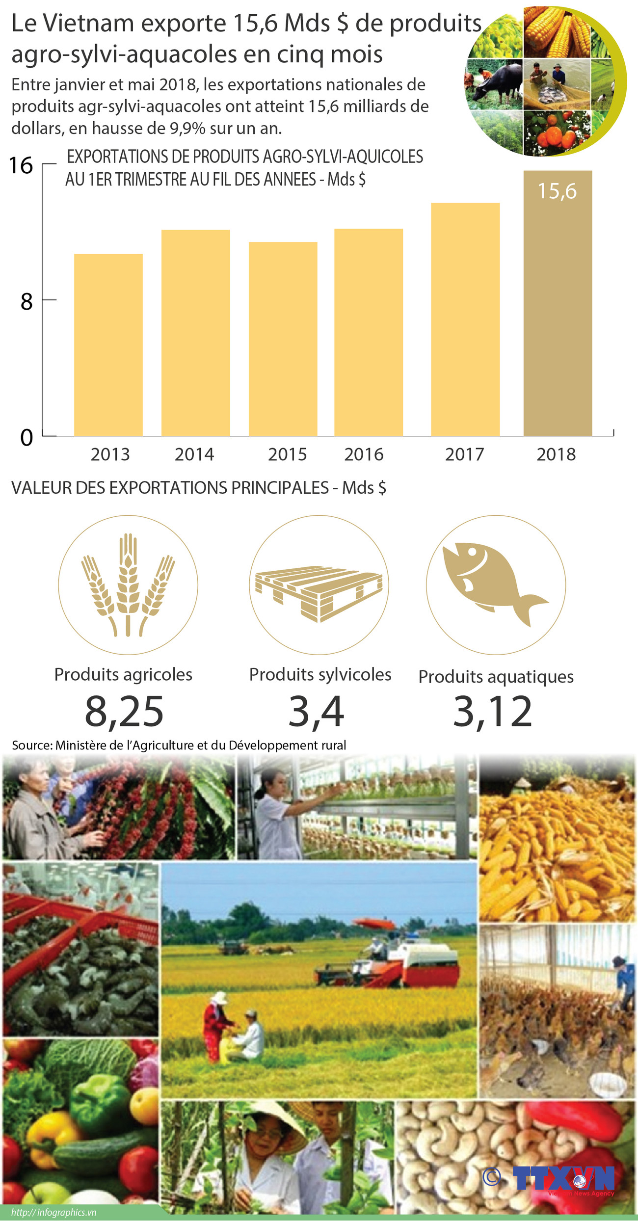 Le Vietnam exporte 15,6 Mds $ de produits agro-sylvi-aquacoles en cinq mois ảnh 1