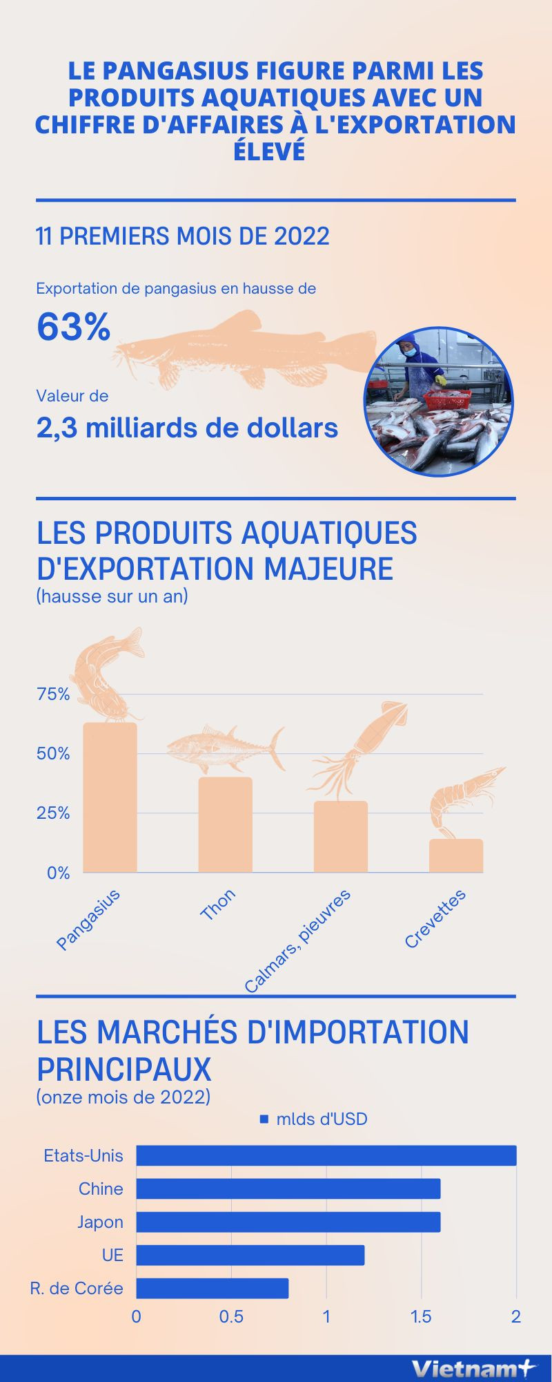Le pangasius figure parmi les produits aquatiques avec un chiffre d'affaires à l'exportation élevé ảnh 1