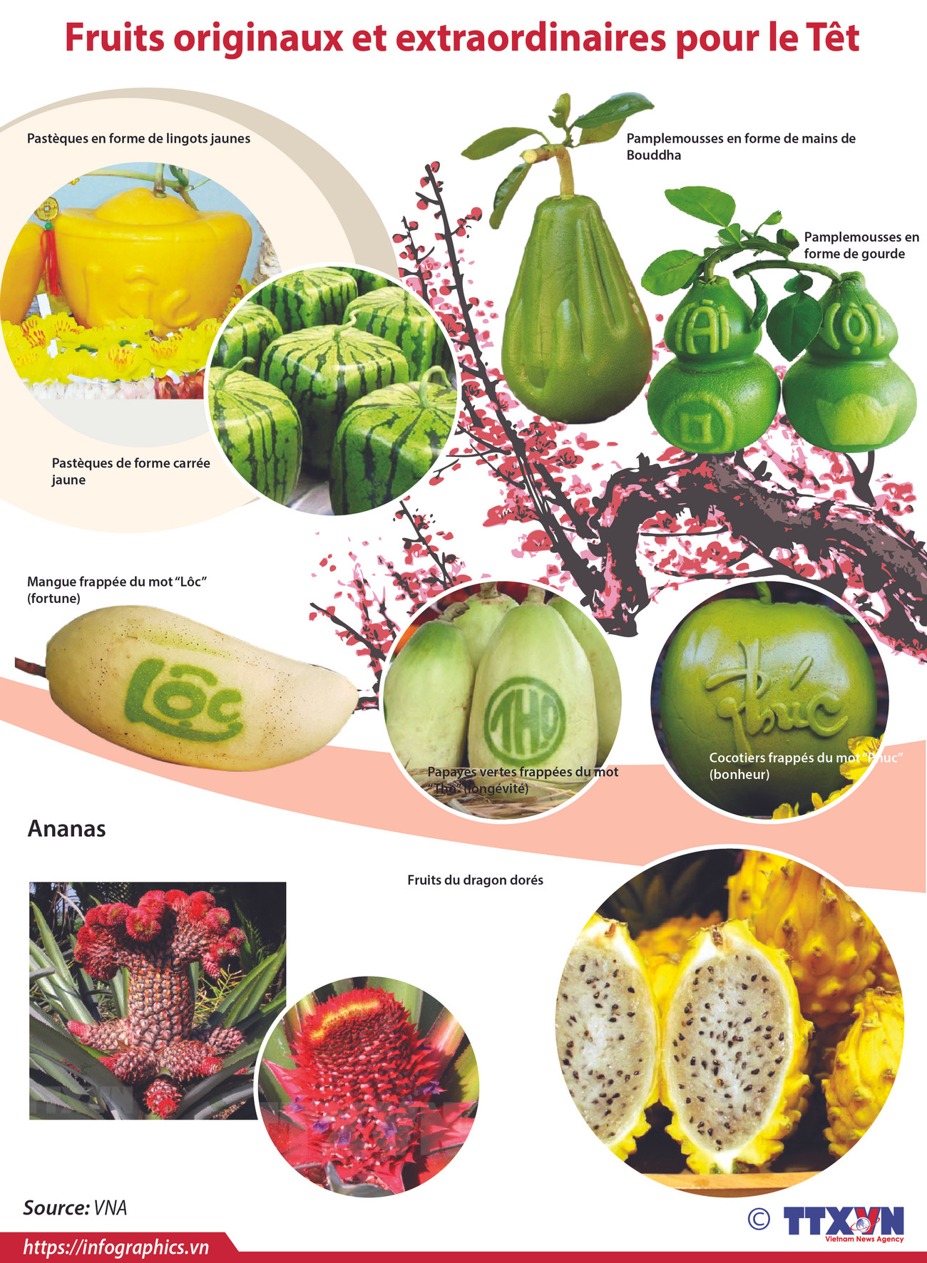Fruits originaux et extraordinaires pour le Têt ảnh 1 Fruits originaux et extraordinaires pour le Têt ảnh 1