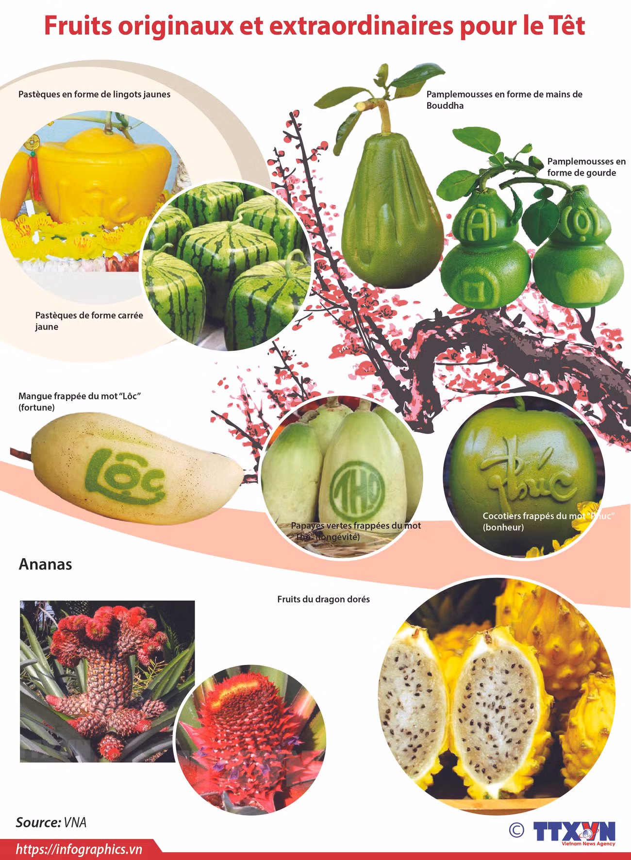 Fruits originaux et extraordinaires pour le Têt ảnh 1