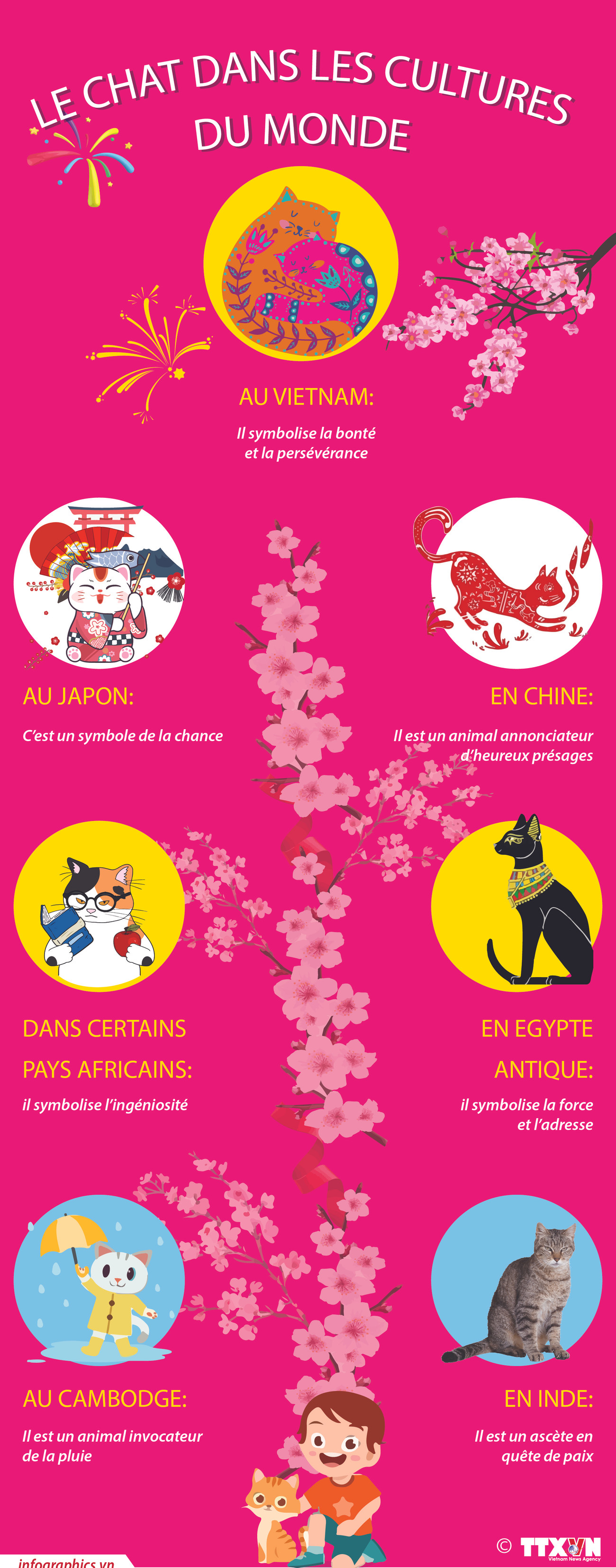 Quelle place a le chat dans les cultures du monde ? ảnh 1