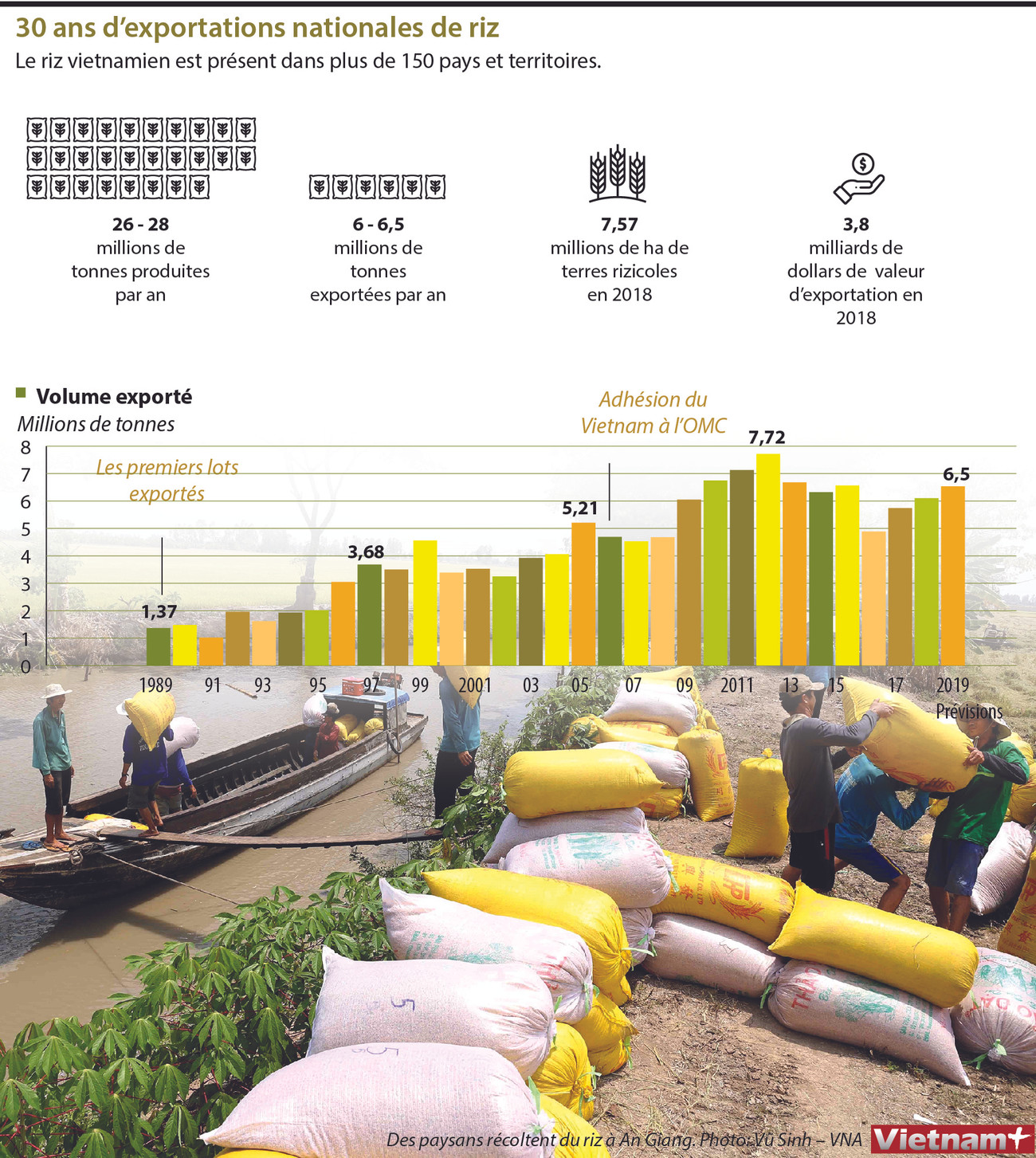 30 ans d'exportations nationales de riz ảnh 1