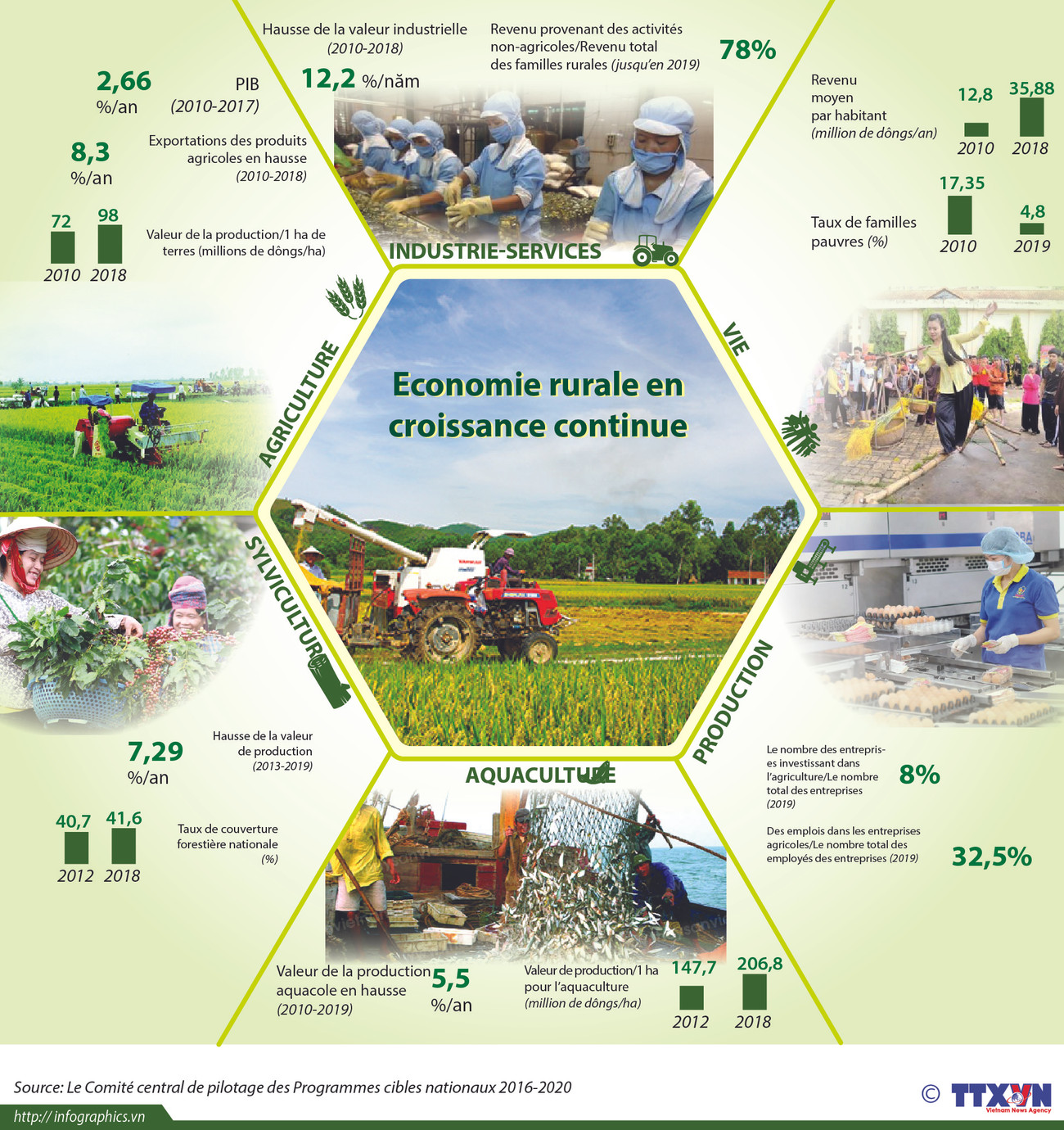 Economie rurale en croissance continue ảnh 1
