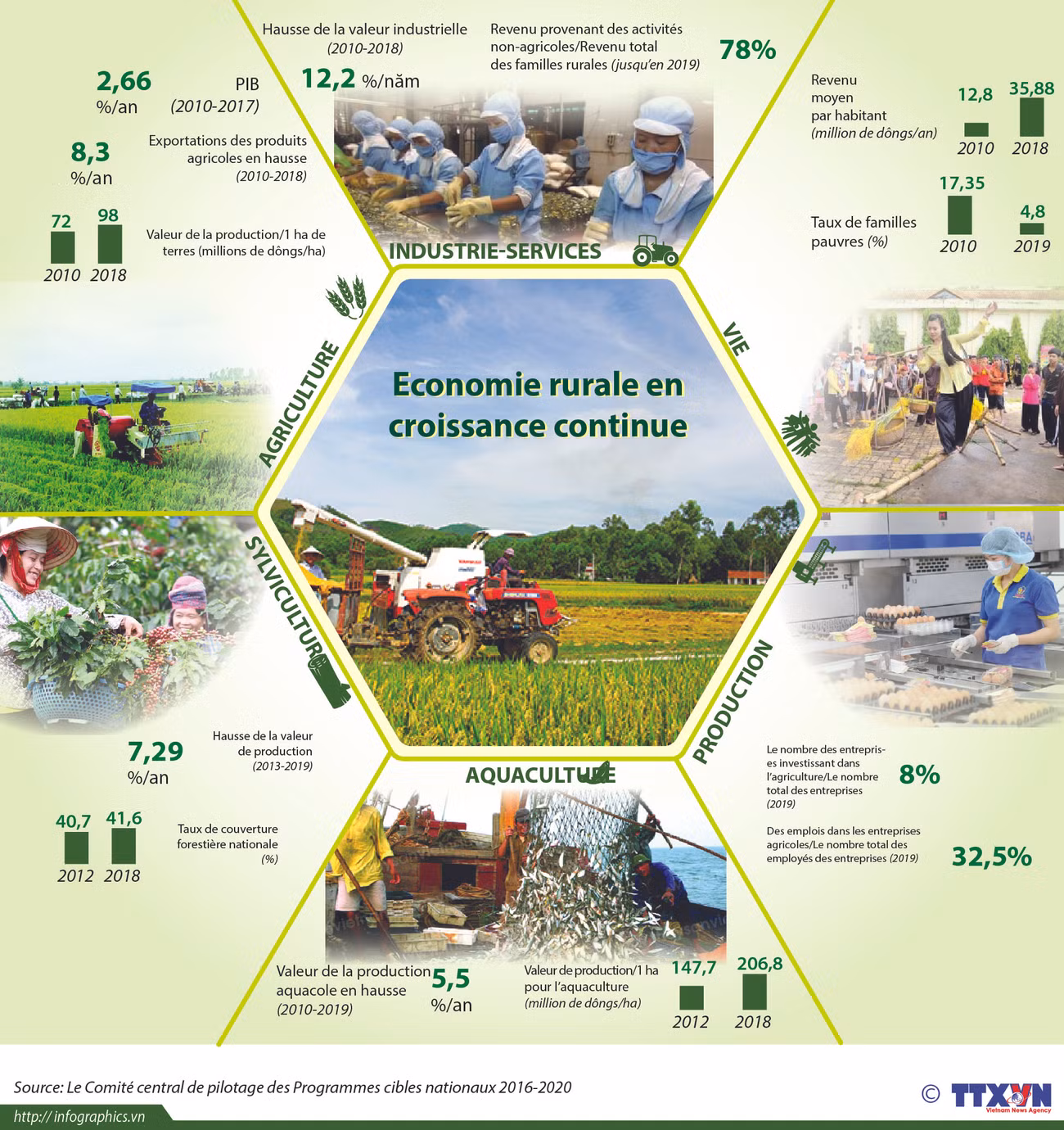 Economie rurale en croissance continue ảnh 1