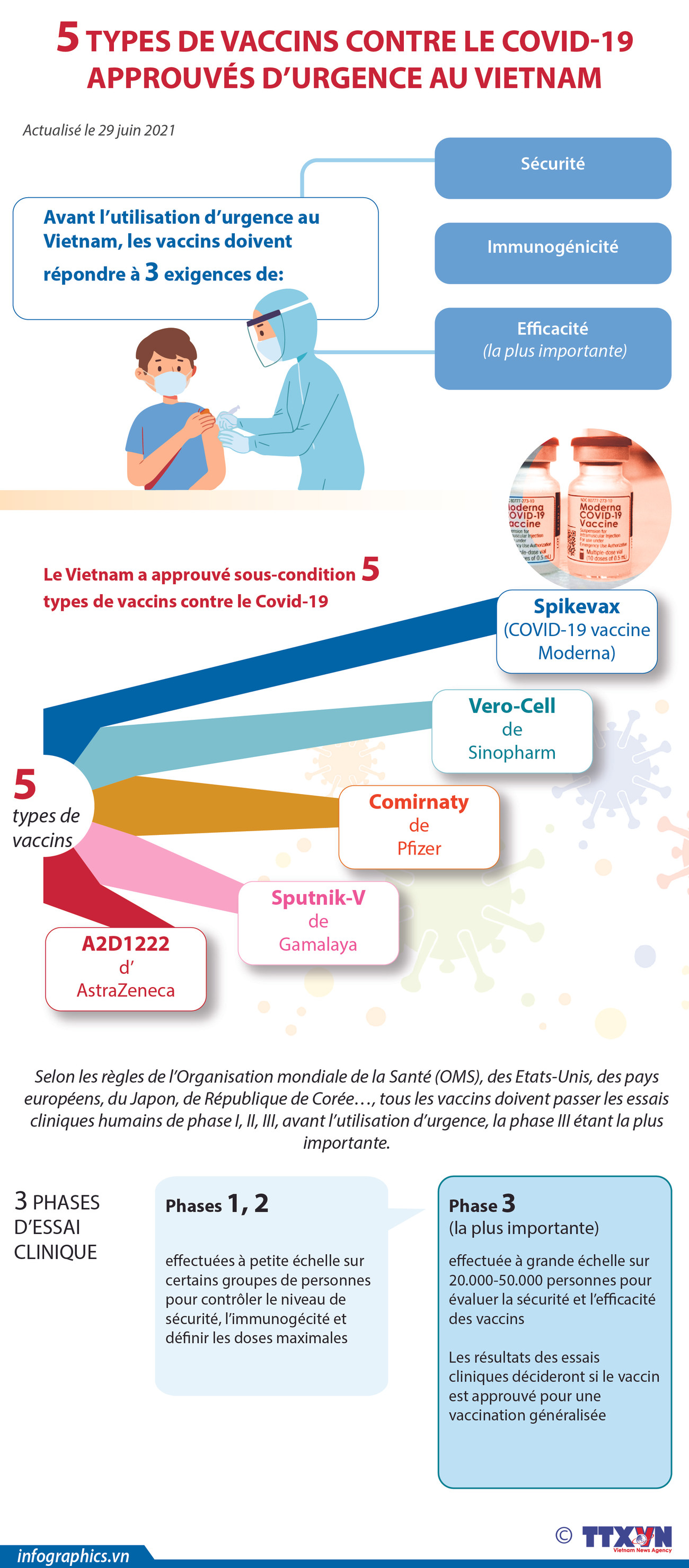 5 types de vaccins contre le COVID-19 approuvés d’urgence au Vietnam ảnh 1