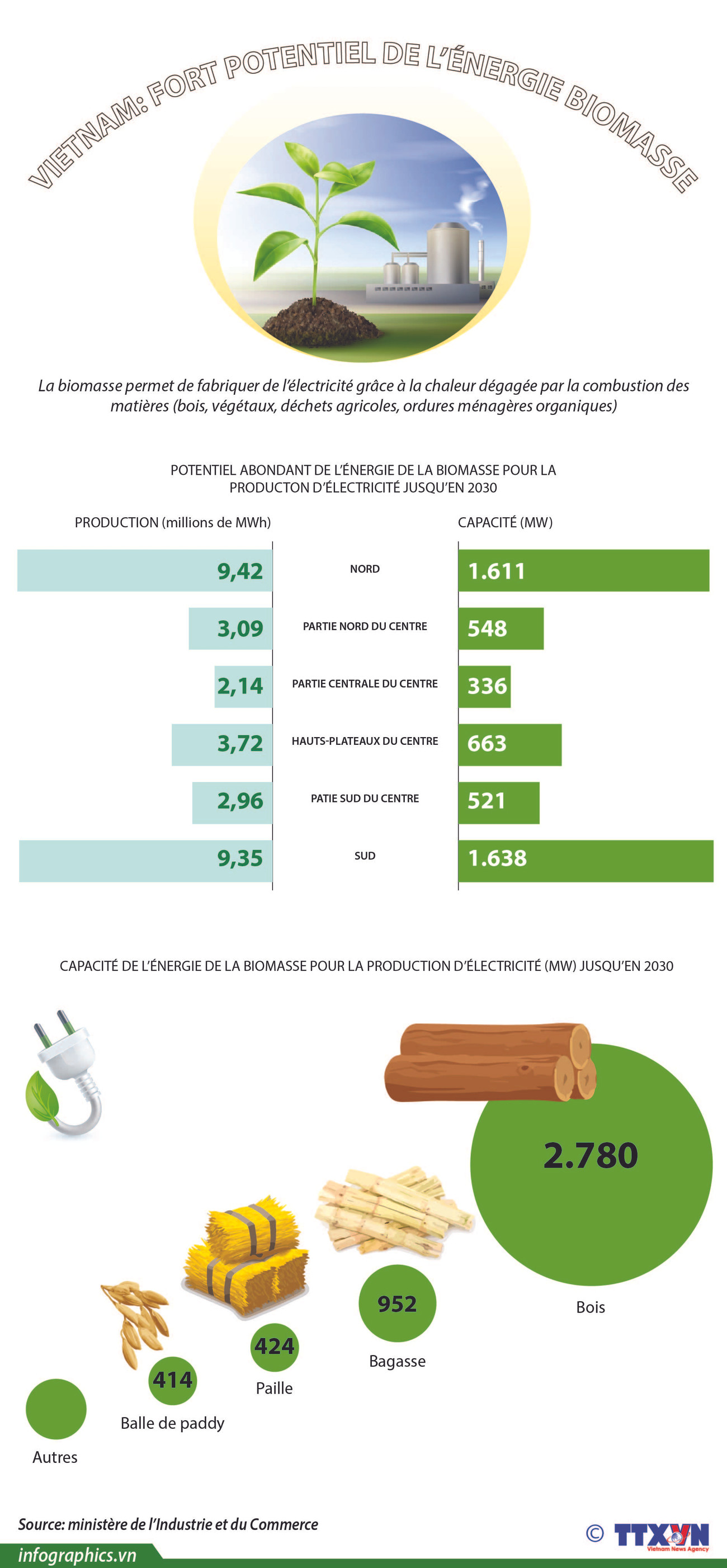 Vietnam: fort potentiel de l’énergie biomasse ảnh 1 Vietnam: fort potentiel de l’énergie biomasse ảnh 1