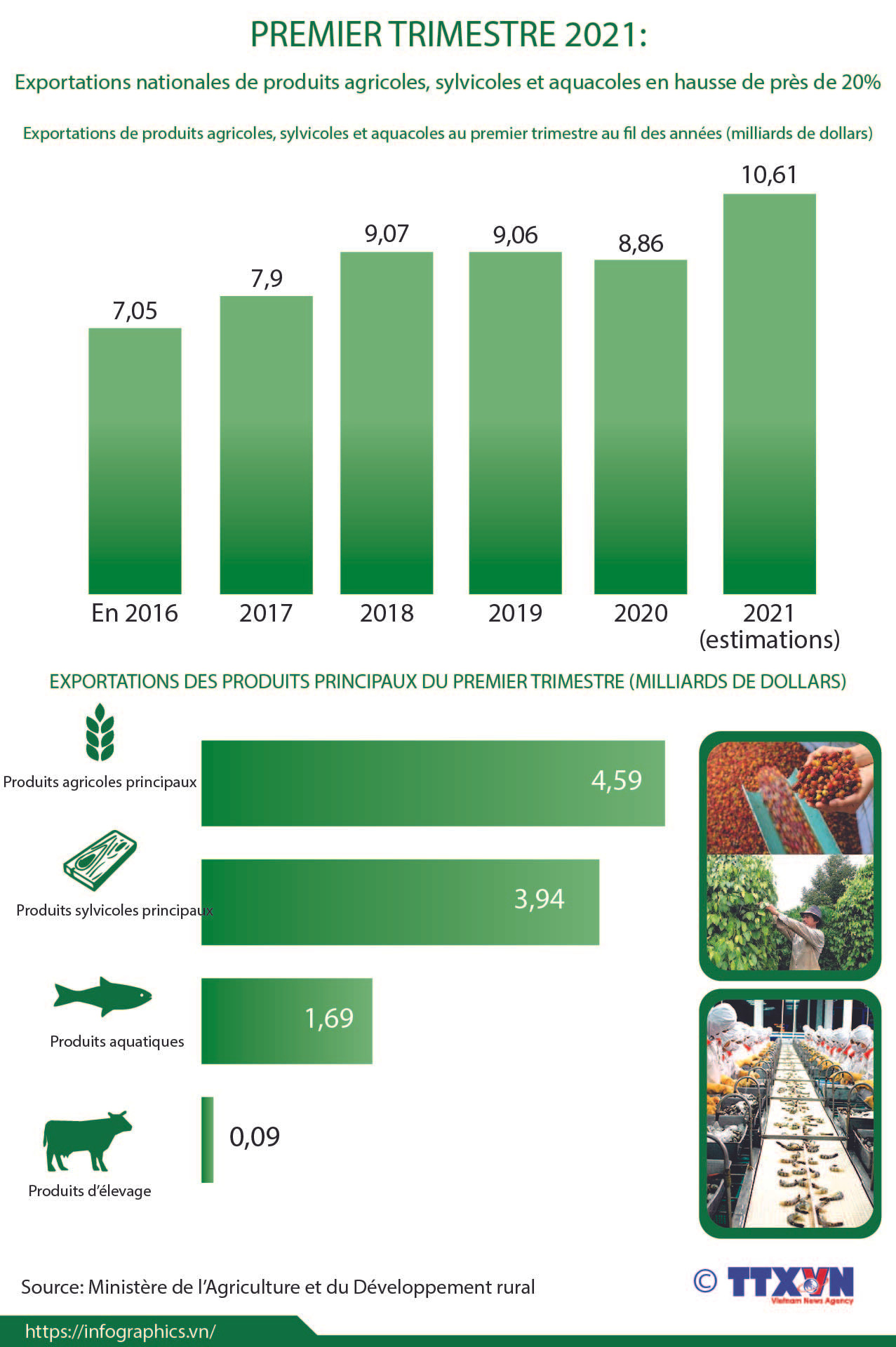 Exportations de produits agricoles, sylvicoles et aquacoles en hausse de 20% au 1er trimestre ảnh 1 Exportations de produits agricoles, sylvicoles et aquacoles en hausse de 20% au 1er trimestre ảnh 1