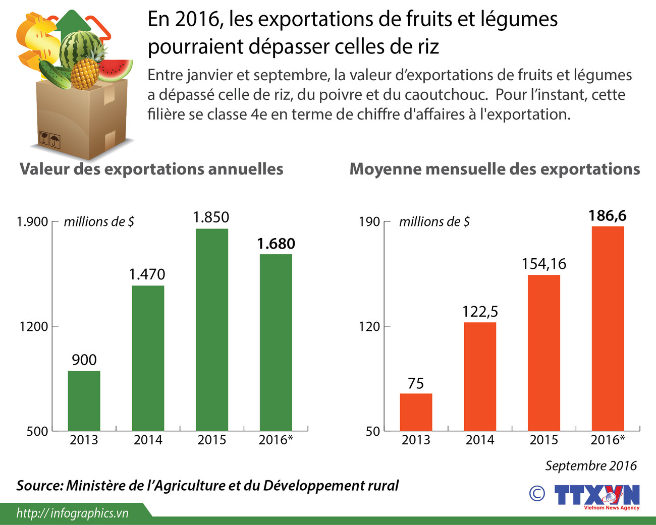 Les exportations de fruits et légumes pourraient dépasser celles de riz ảnh 1