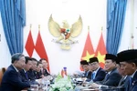 Lors de l'entretien entre Tô Lâm et Prabowo Subianto. Photo : VNA