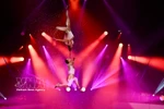 Le numéro « Duo Love » confirme ainsi son excellence. Photo : Fédération vietnamienne du cirque.