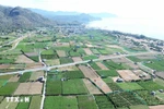 Projet de centrale nucléaire de Ninh Thuan 2. Photo ; VNA