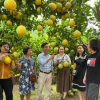 La province de Bac Ninh mettra en œuvre plusieurs mesures pour élargir les zones de culture, notamment pour les arbres fruitiers phares et les légumes. Photo: ministère de l'Industrie et du Commerce