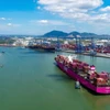 Le port international Tân Cang - Cai Mep à Ba Ria-Vung Tau. Photo: VNA