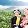Les zones de théiculture continuent de s’étendre à Lai Chau, affirmant la position de cette plante comme culture clé de la province. Photo: baolaichau.vn
