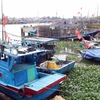 Da Nang restructure sa flotte de pêche pour protéger les ressources côtières. Photo: VNA