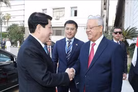 Le président Luong Cuong (gauche) et le président de la Chambre des représentants égyptienne, Hanafy El Gebaly. Photo: VNA