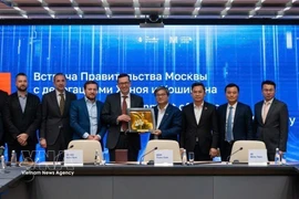 Photo de groupe des délégués des deux pays. Photo : VNA