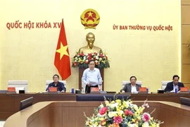 Tran Thanh Man, secrétaire du Comité du Parti de l’Assemblée nationale et président de l’Assemblée nationale, s'exprime lors de la réunion. Photo: VNA