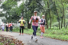 Athlètes à la course Cuc Phuong Jungle Paths. Photo: VNA