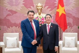 Le vice-président de l’Assemblée nationale du Vietnam, Nguyen Duc Hai (droite), et Gabriel Petris, consul honoraire du Vietnam à Piraeus (Grèce) et président du groupe énergétique Aerius. Photo: quochoi.vn