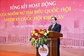 Le président de l’Assemblée nationale, Tran Thanh Man, lors de l'événement. Photo: VNA