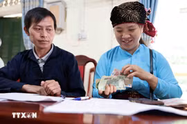 Les ménages pauvres bénéficient de prêts préférentiels pour le développement économique. Photo: VNA