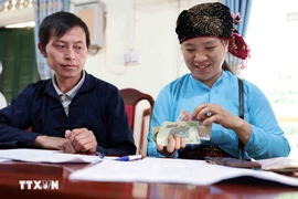 Les ménages pauvres bénéficient de prêts préférentiels pour le développement économique. Photo: VNA