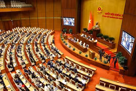 Vote pour l'approbation du projet de résolution. Photo: VNA