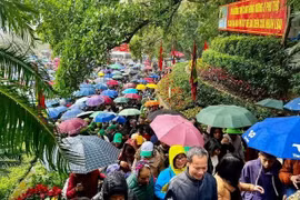 Des milliers de personnes se rendent tôt aux temples des rois Hùng. Photo: Tourisme de Phu Tho
