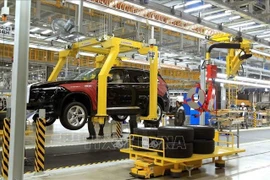 Production automobile à l'usine Vinfast du groupe économique privé Vingroup à Cat Hai, Hai Phong. Photo : VNA