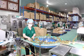 Une entreprise de production de nids de salanganes à Khanh Hoa. Photo : VNA.